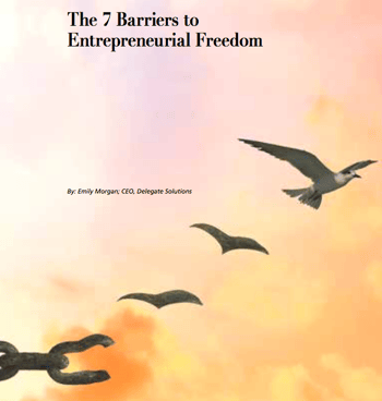 The 7 Barriers to Entrepreneurial Freedom